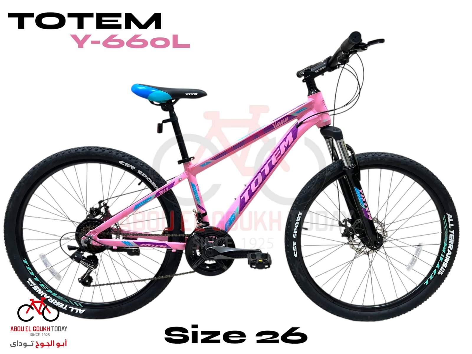 TOTEM 26" Y660-L LADY MTB - الصورة 2