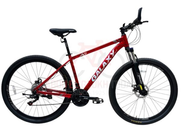 GALAXY 29" A9 MTB