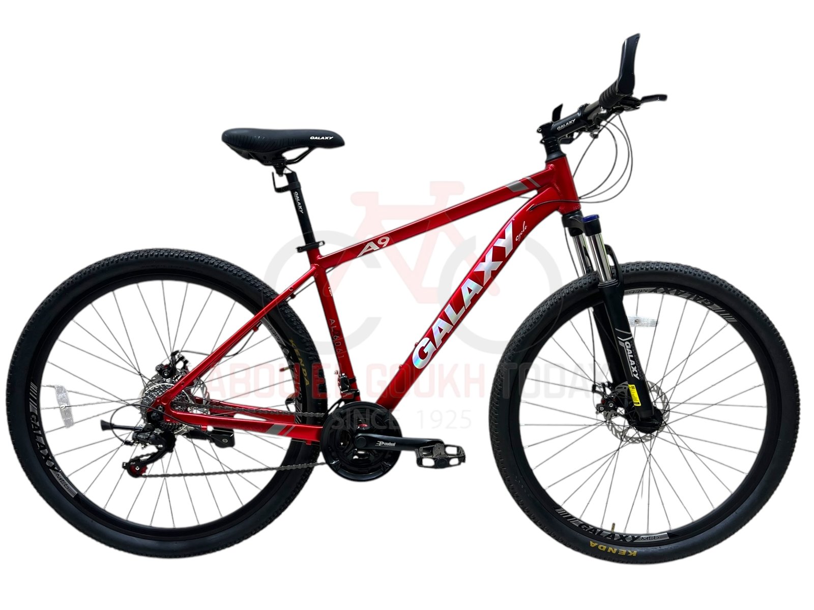 GALAXY 29" A9 MTB