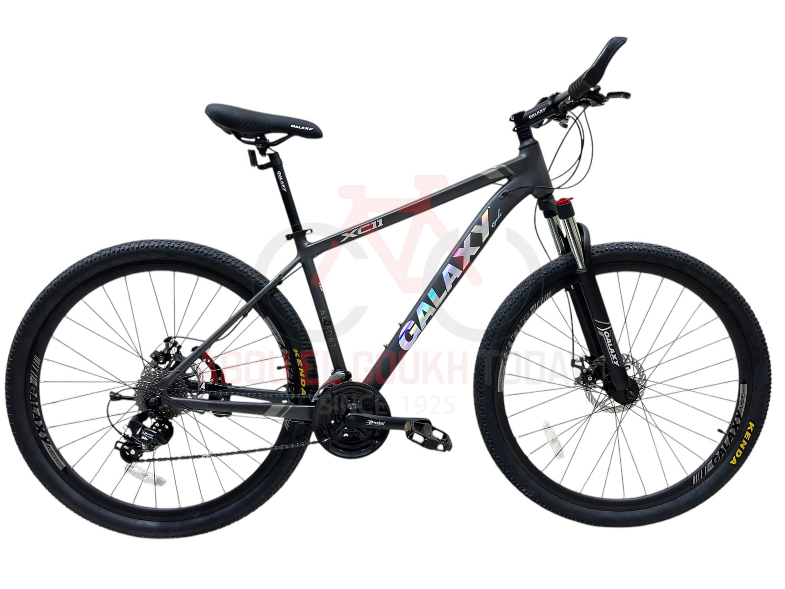 GALAXY 29" XC11 MTB