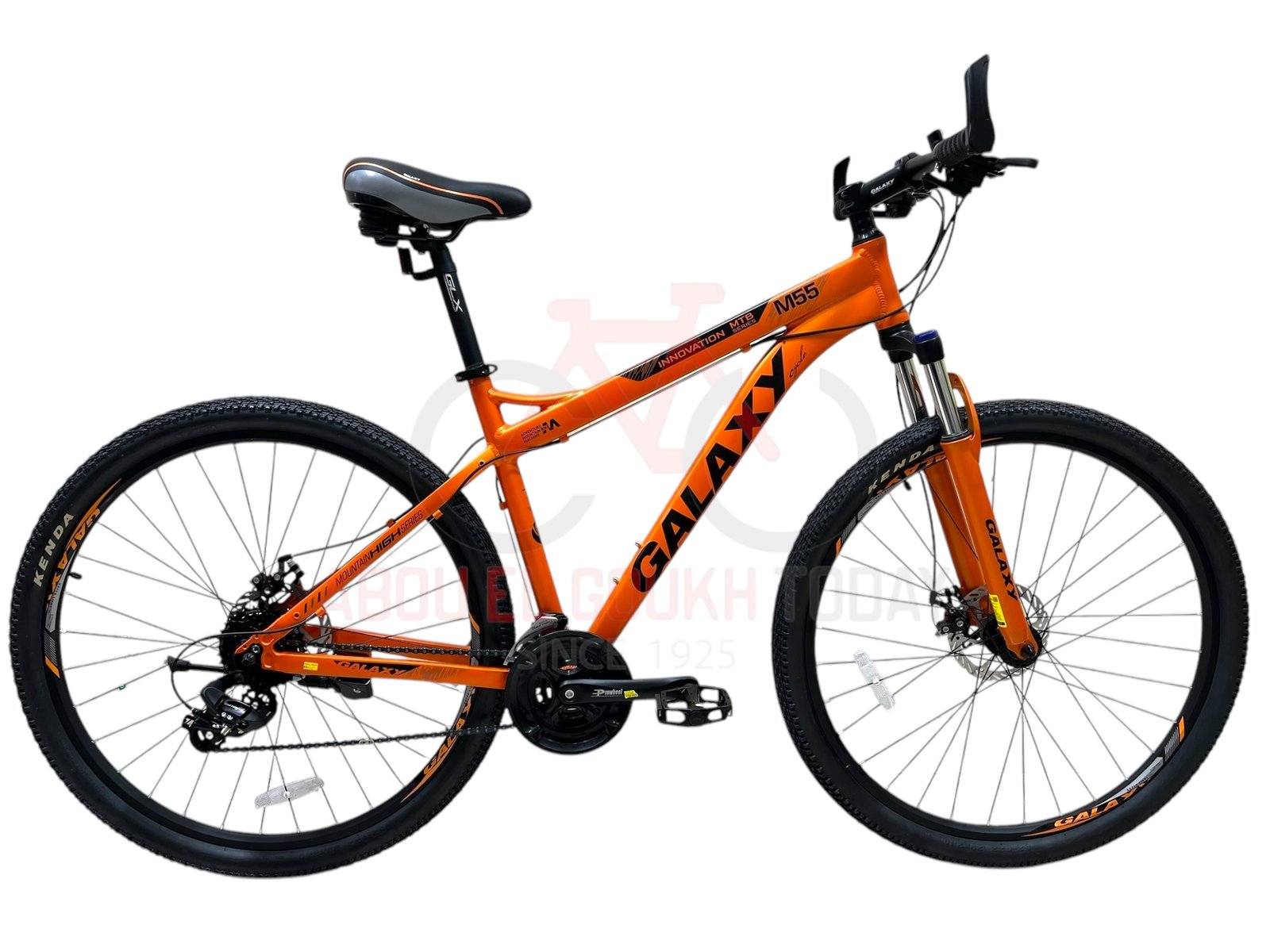 GALAXY 29" M55 MTB
