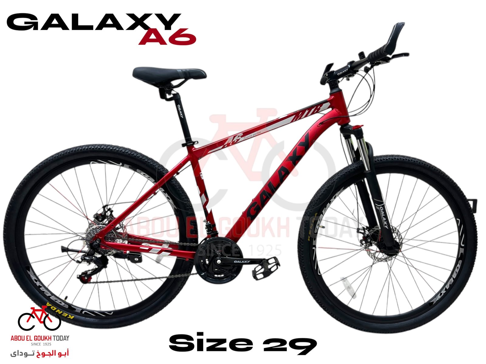 GALAXY 29" A6 MTB - الصورة 2