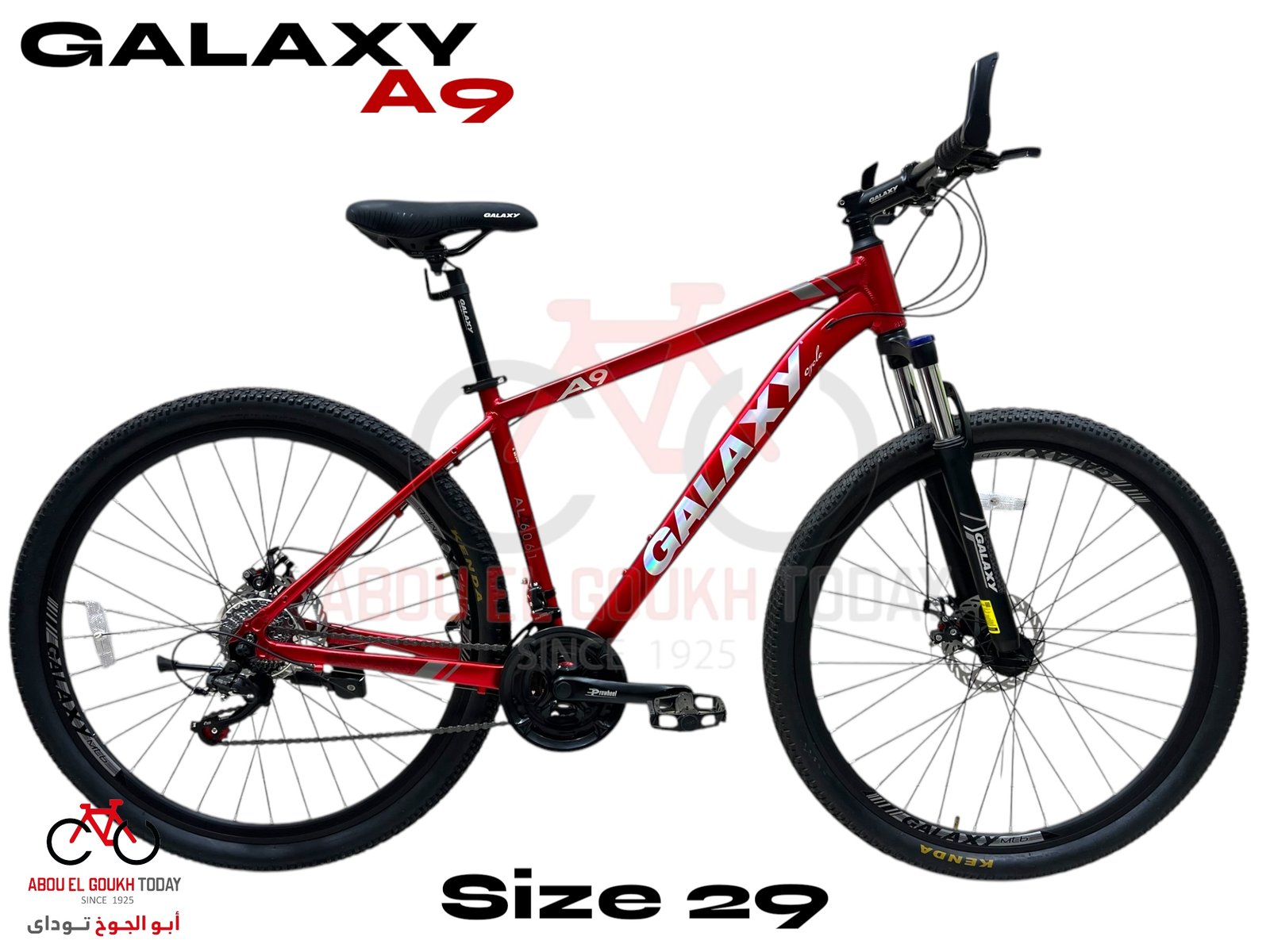 GALAXY 29" A9 MTB - الصورة 2