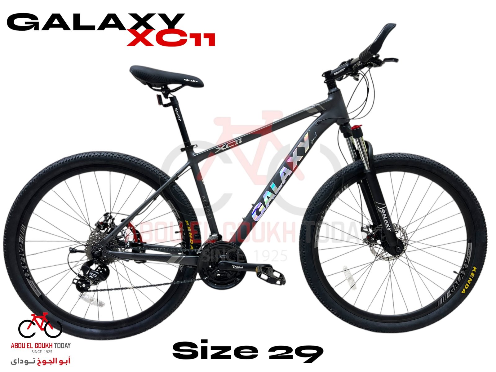 GALAXY 29" XC11 MTB - الصورة 2